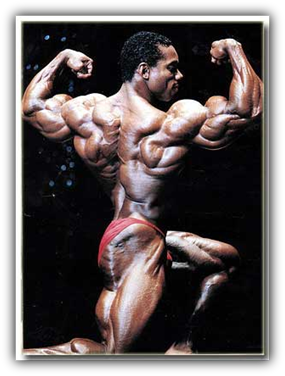 The One And Only Flex Wheeler
