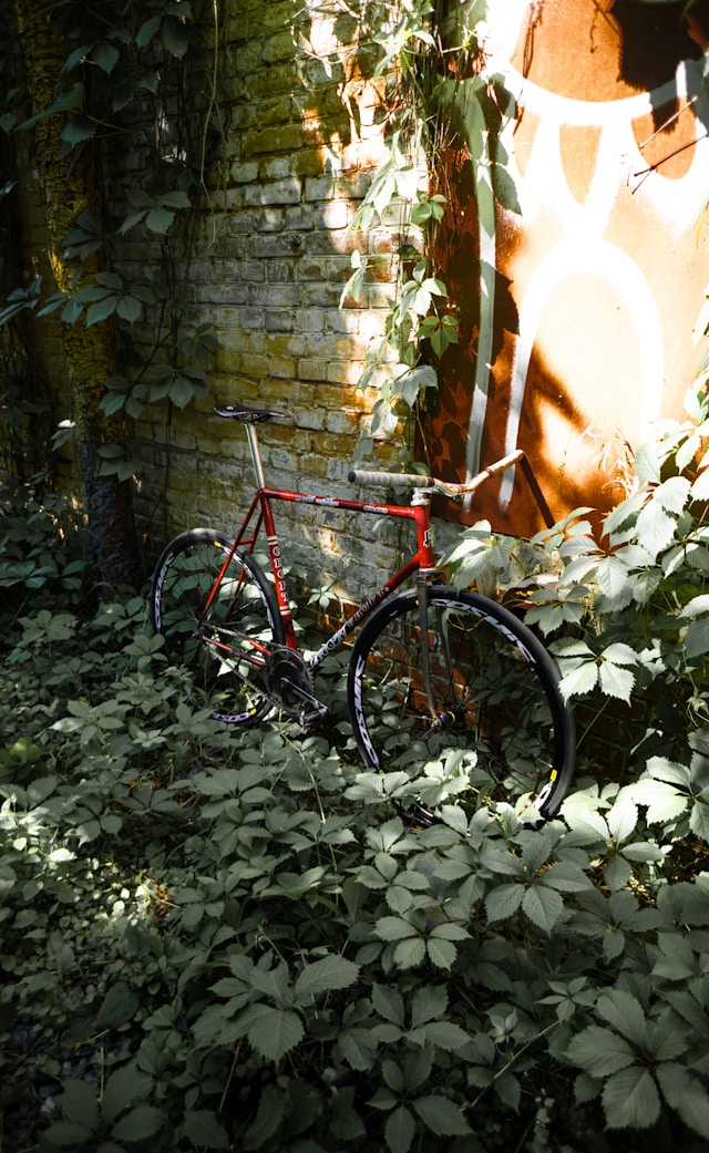 What Makes a Better Beater Bike – An MTB or a Fixie?